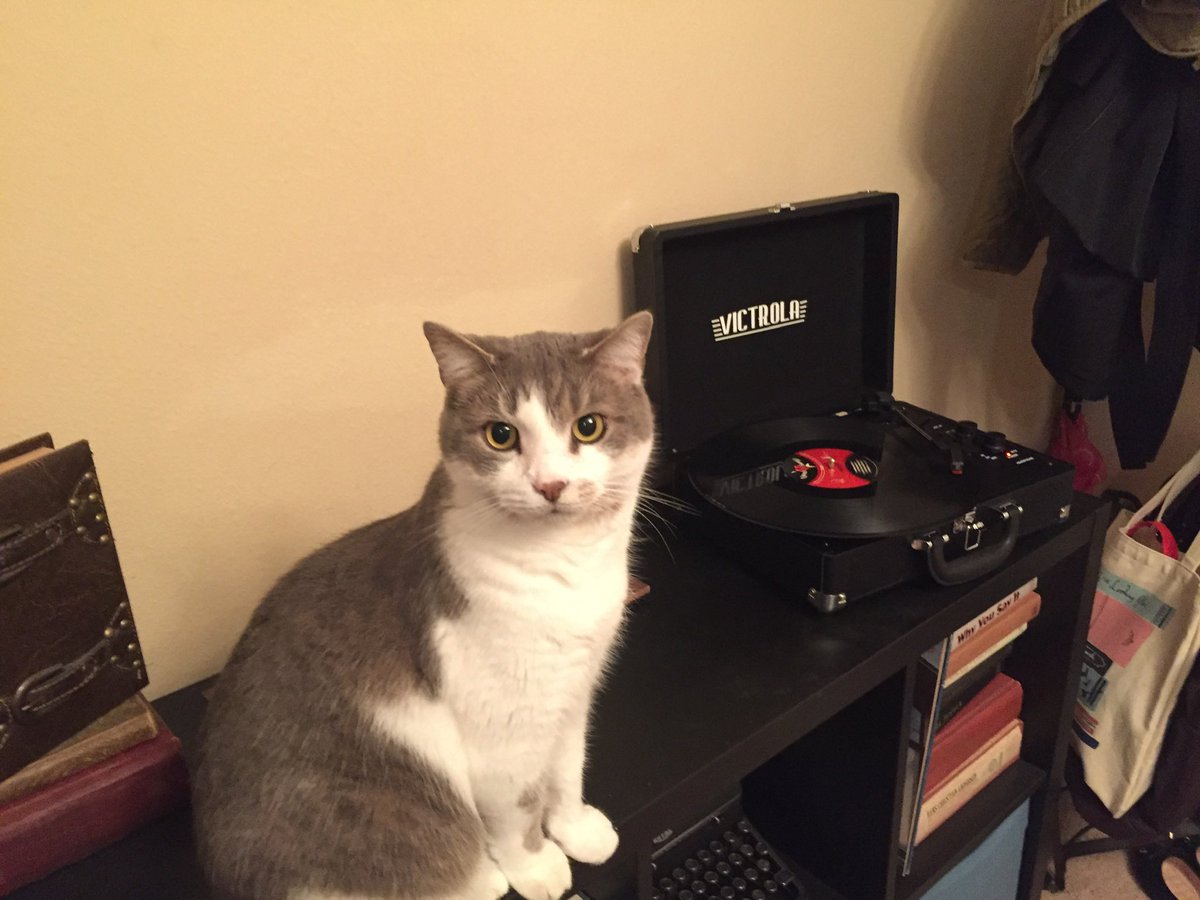 Help Gnocchi their way into the pages of Dogster or Catster Magazine and take home a $5,000 cash prize! americasfavpet.com/2022/gnocchi-2…