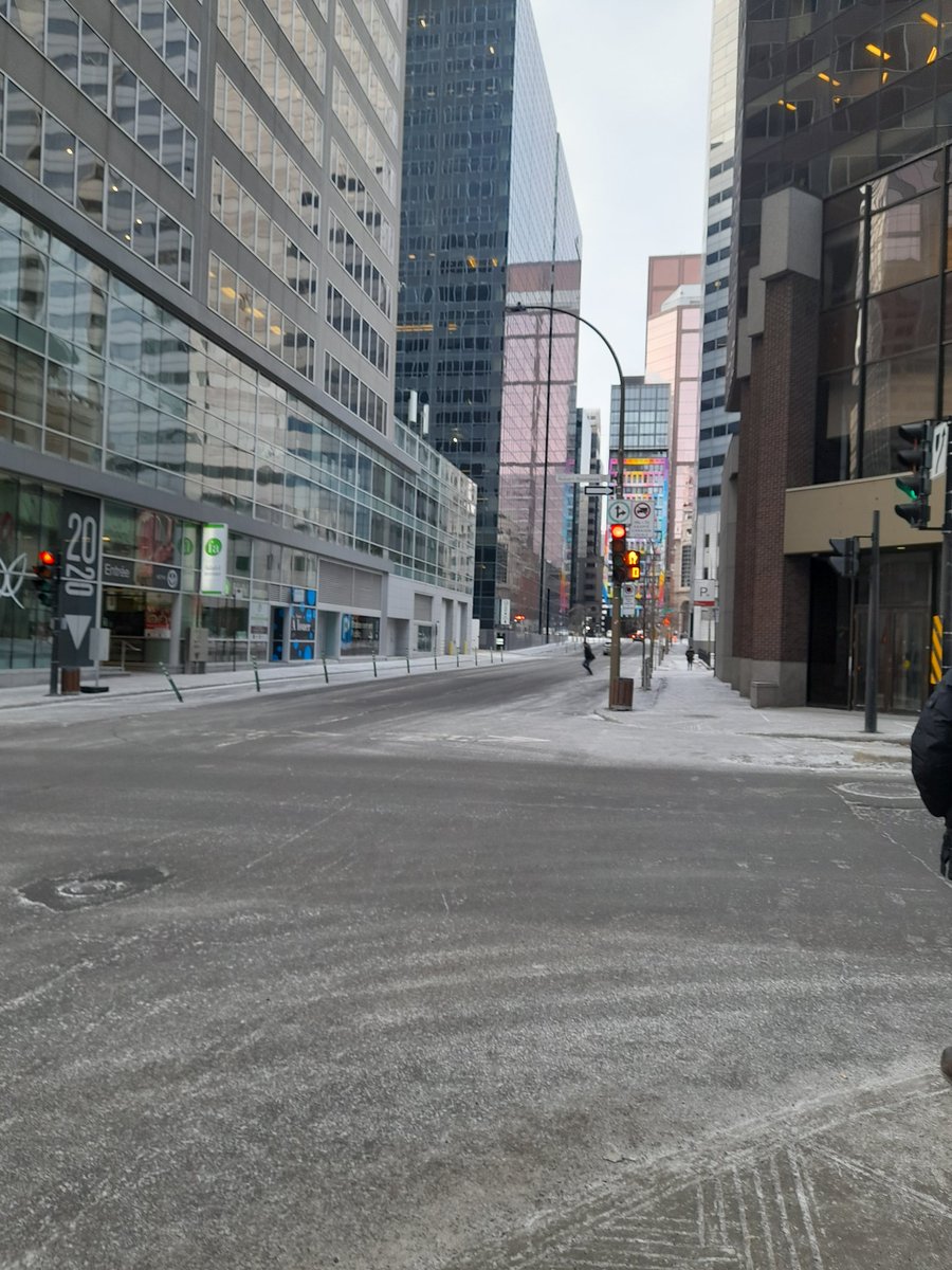 Montréal,métropole tantinet mégalomane ;ouvert sur le monde, avant-gardiste, accueillant, un mastodonte gigantesque et majestueux, riche en culture et en initiative ses rues tentaculaires sont vides en hiver et grouillent en milliers de personnes les autres saisons.