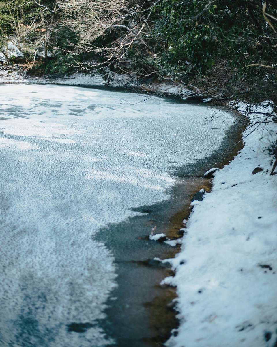 Issei Shimizu|清水壱星 tweet media
