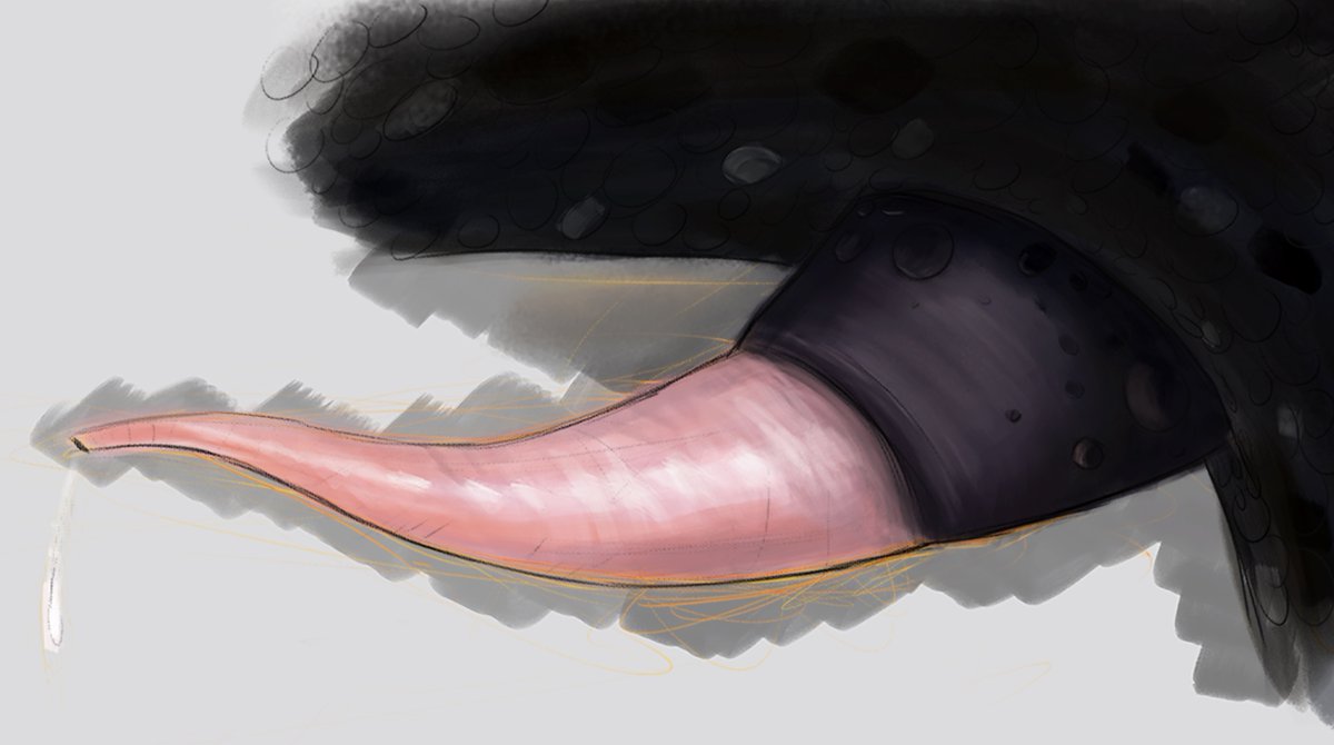 wake up babe, fresh penis just dropped.
1st nsfw drawing ive ever drawn.
appropriately it should be my 1st tweet. enjoy!