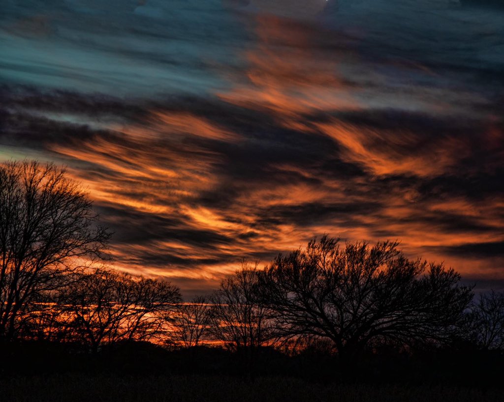 Ronnie Prcin tweet media