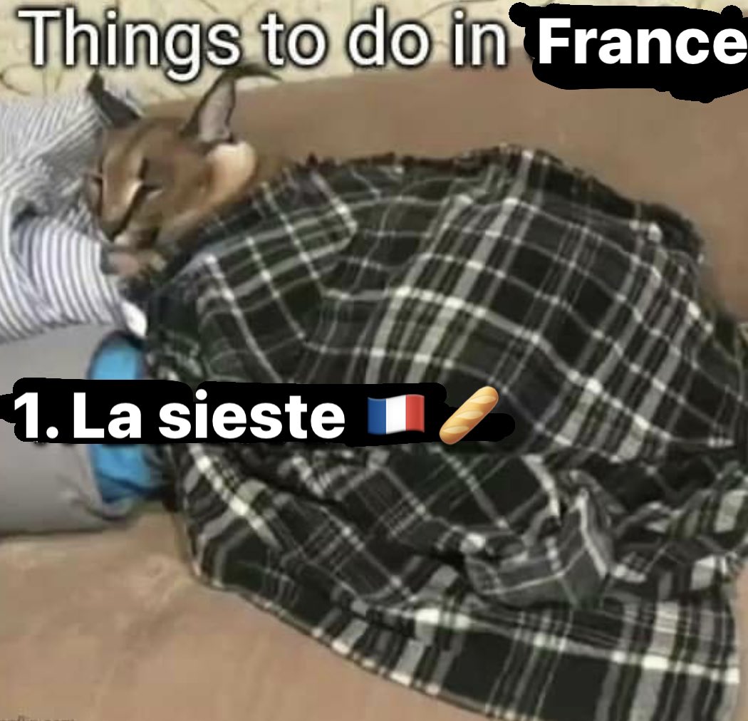 MiniClawW tweet media