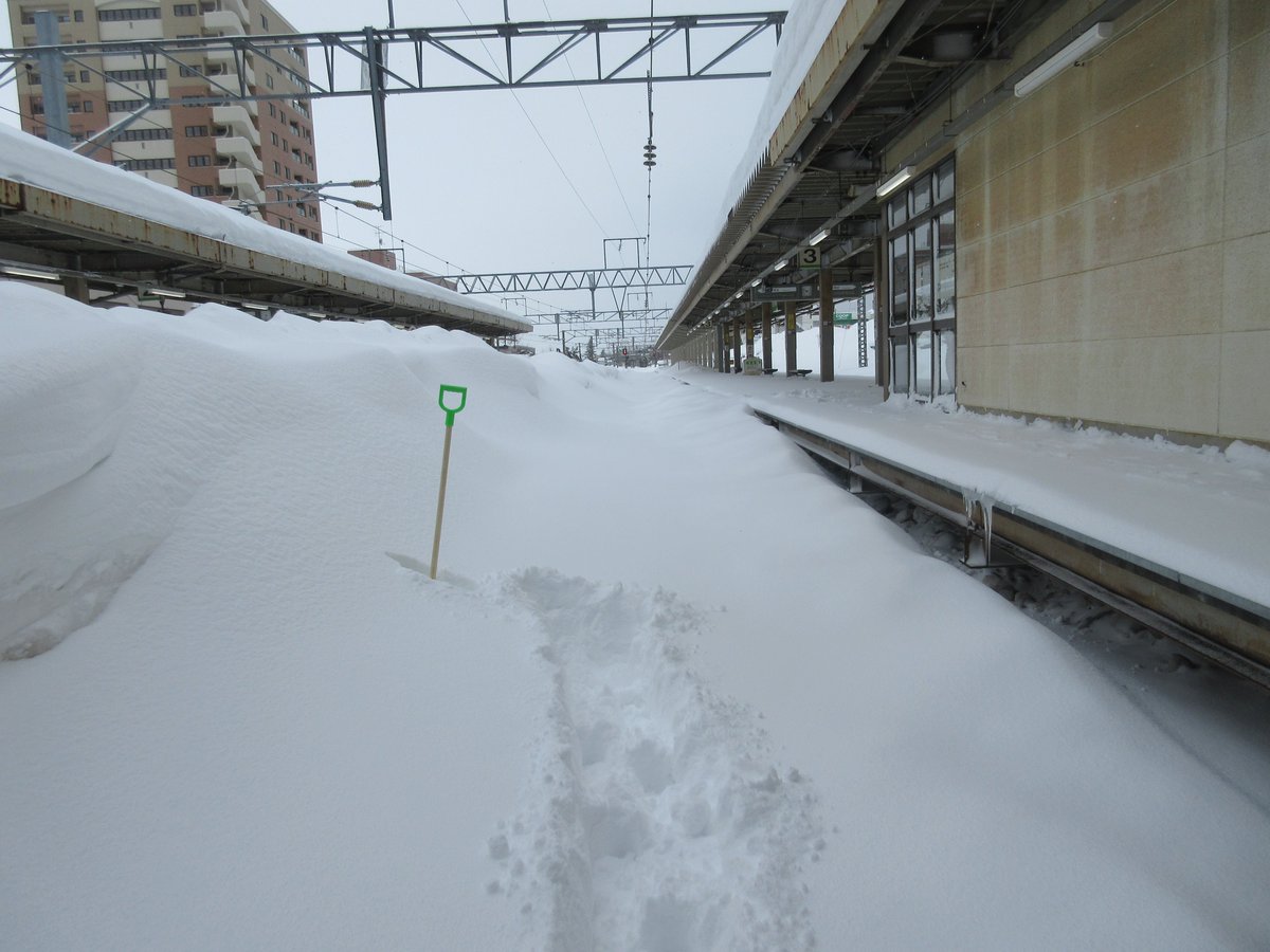 jrhokkaido_info's tweet photo. 本日（2/22）、札幌～新千歳空港間については、千歳周辺の記録的な降雪により除雪作業に時間を要しており、昼の運転再開は困難な状況です。現在、本日中の運転再開に向けてに引き続き作業を進めてまいります。

詳細は当社ホームページをご覧ください。https://t.co/2LEjuR6zz8 https://t.co/2Hcvrn6u8H
