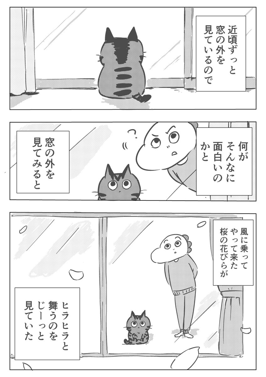 #猫の日 