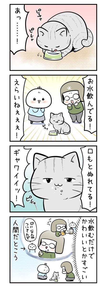 ねこちゃんは水を飲むだけでかわいい。
#スーパー猫の日  
#猫の日 