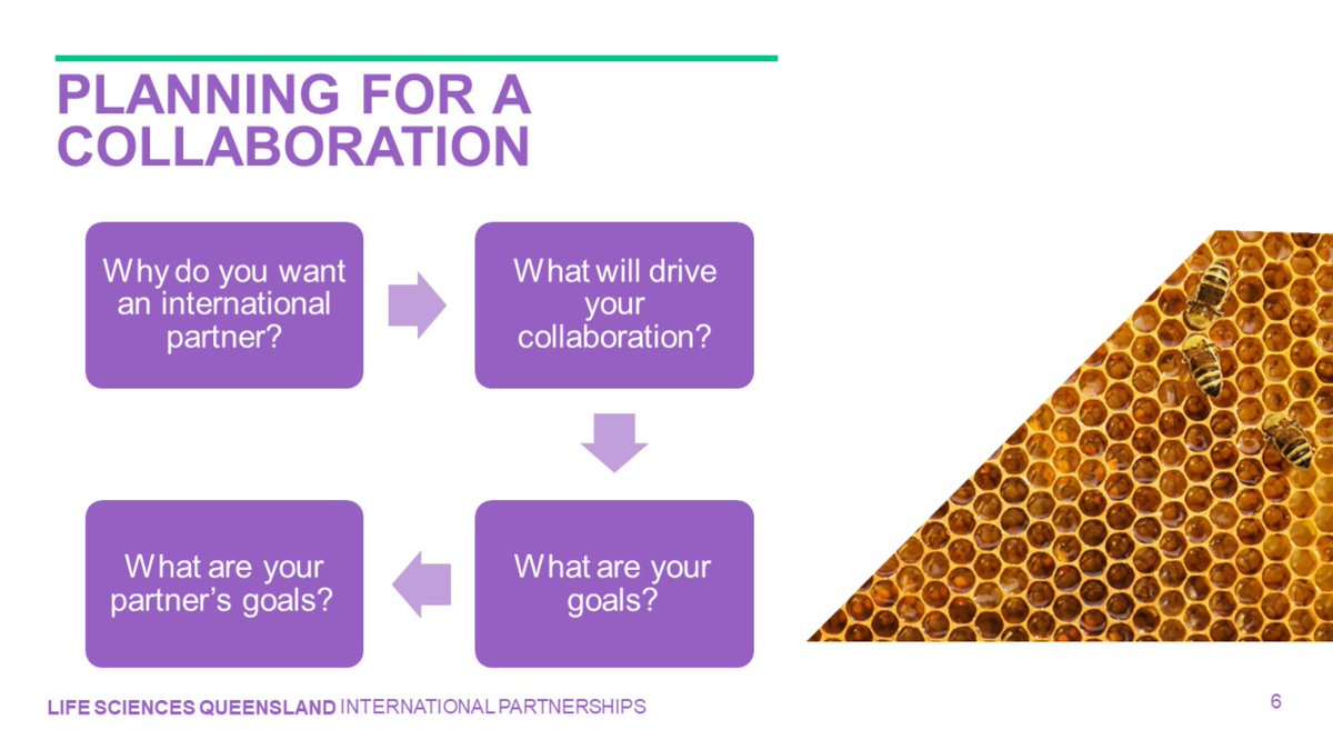 LSI_ExportHub's tweet image. Thank you @ClareBlain for your insights on setting up int'l collaborations &amp;amp; the excellent support @LSQld can offer lsq.com.au