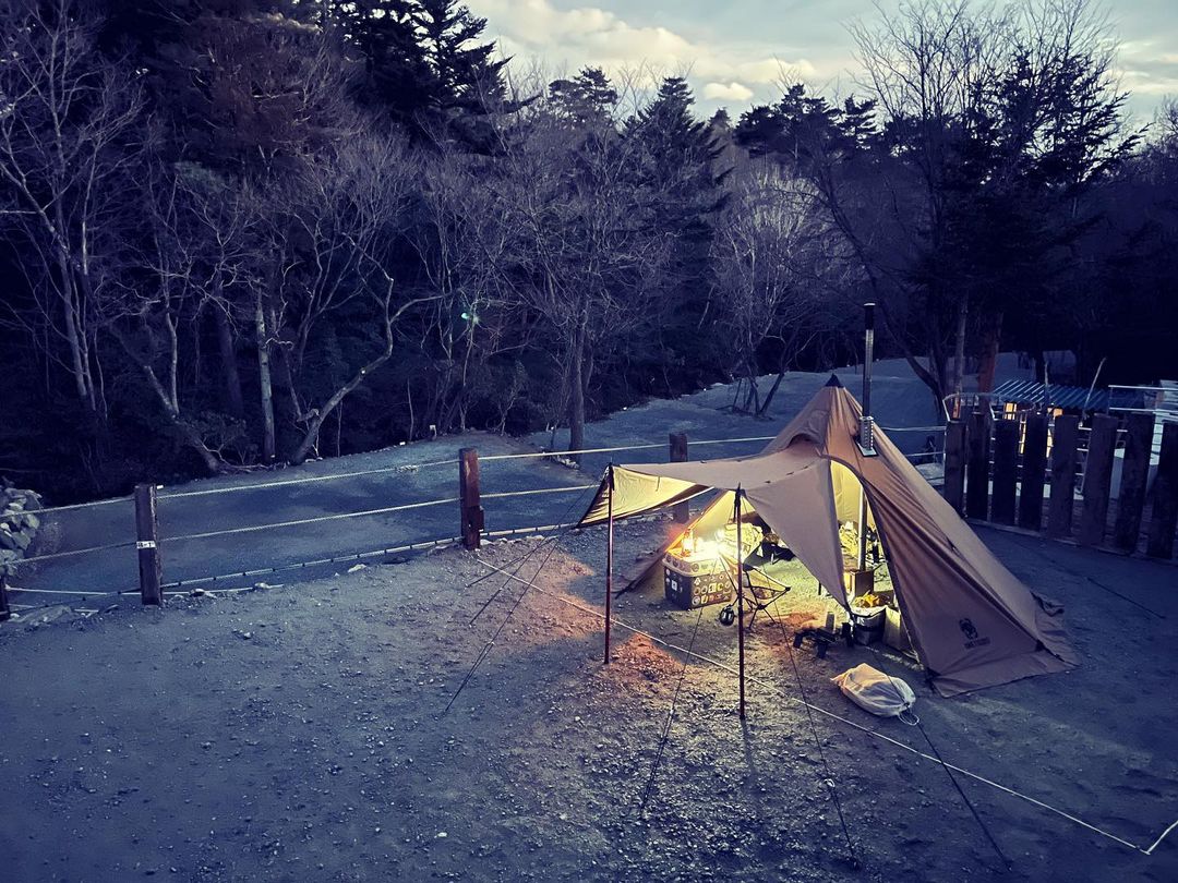 OneTigris tweet media