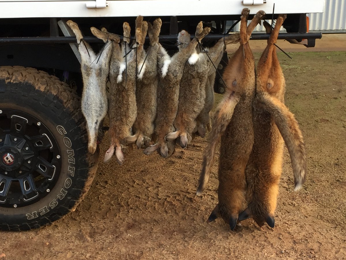 RedCardRF's tweet image. Calling anyone around Gnowangerup, Broomehill and Ongerup! It’s your turn next. The Shire of Gnowangerup their tally weekend and breakfast over the weekend of 25 and 26 February. Jump on the Red Card website to find out locations, times and more. ow.ly/MRLG50HQagg