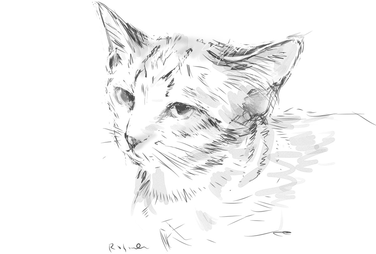 #猫の日イラスト 
以前相互さんからお写真借りて描かせてもらったもの。 