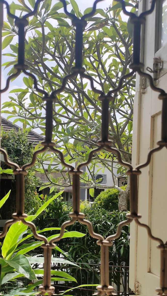 Good Morning from Bali🌴🌞