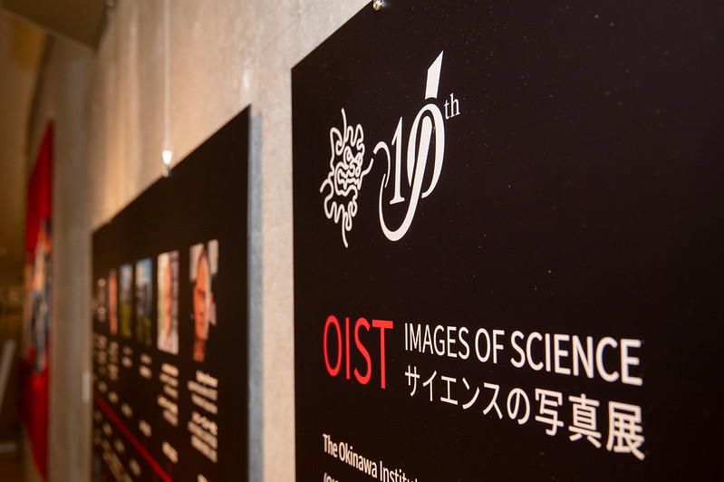 OISTedu's tweet photo. The #Images Of #Science Exhibition features 60+ research photos by OIST scientists, and it's now a traveling exhibit! 

First stop: Naha @junkudo_okinawa (2nd floor) from Feb 14 to March 11. Follow us for details of the next destination in Okinawa and Tokyo🎉 #10YearsOfOIST https://t.co/IltR0MzmUF