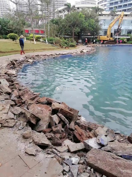 花农11号 丽馨 55wulixin Twitter