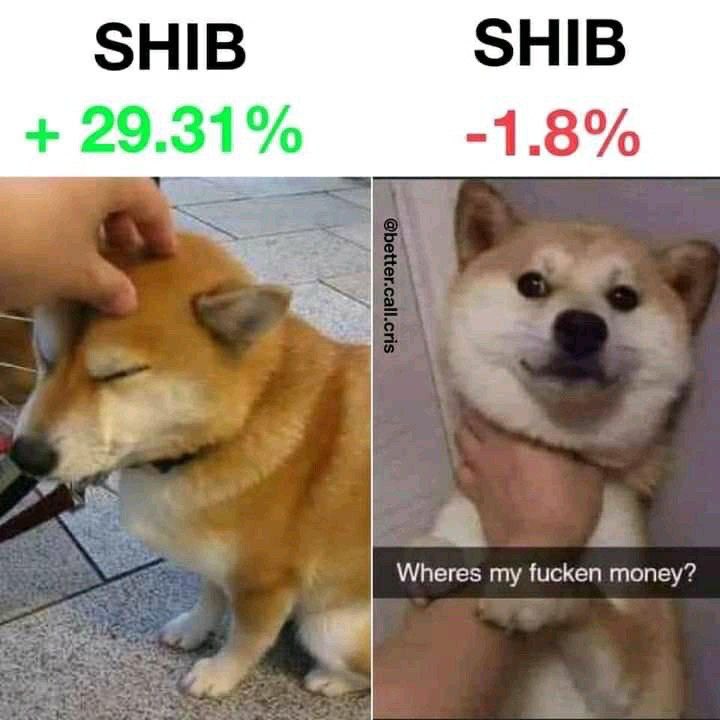 ЛПВП (@packetwave) on Twitter photo 