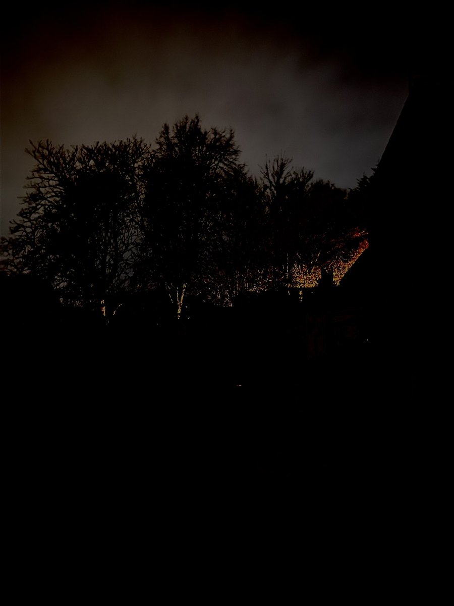 A͜͡d͜͡i͜͡e͜͡ ® 🍃💨😶‍🌫️ tweet media