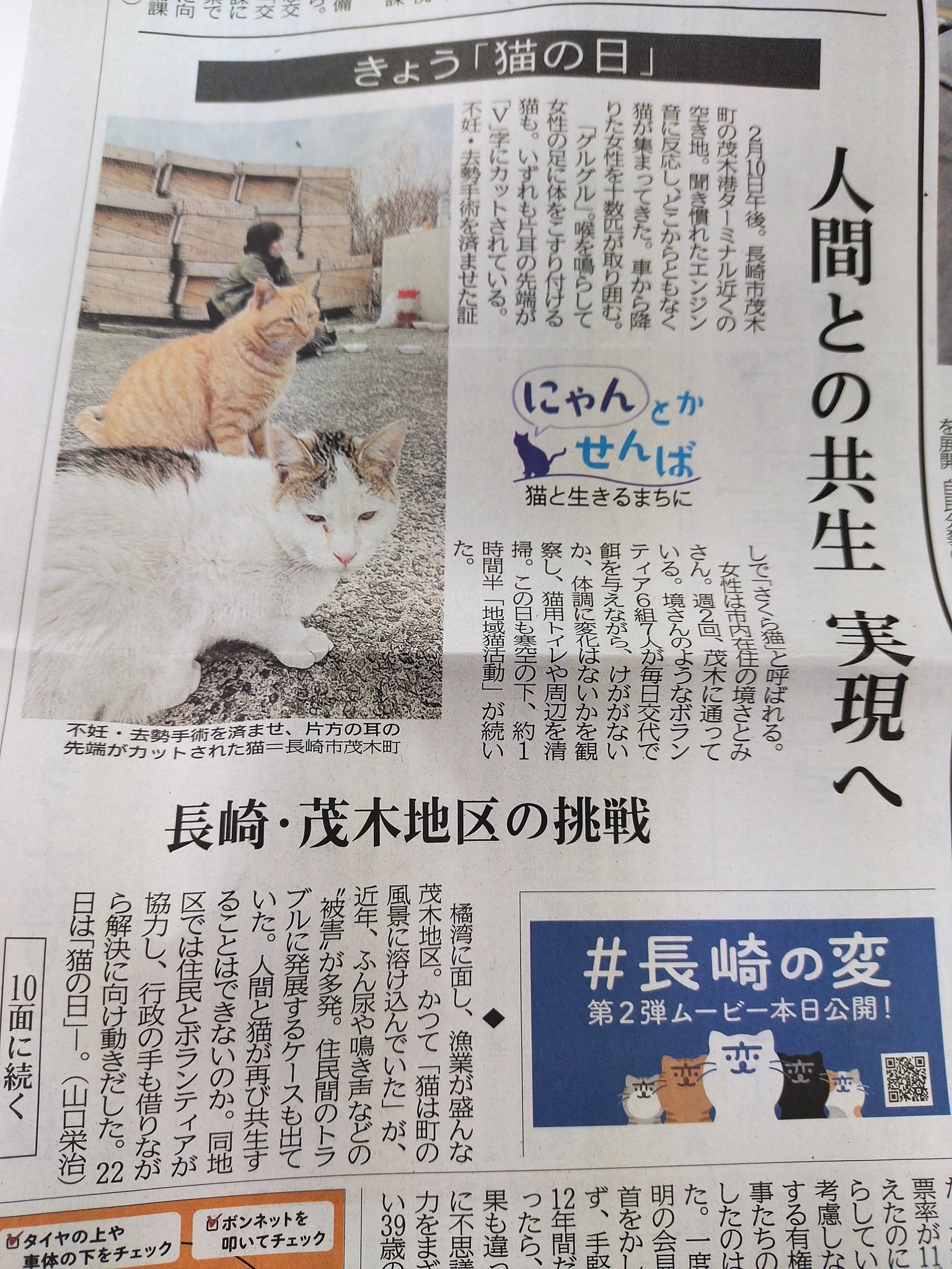 Ko 長崎新聞の本気を見た 22年2月22日 誌面至る所に猫情報 猫の日 T Co Npaale9vzk Twitter
