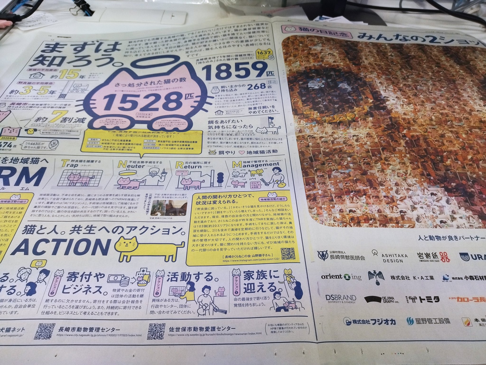 Ko 長崎新聞の本気を見た 22年2月22日 誌面至る所に猫情報 猫の日 T Co Npaale9vzk Twitter