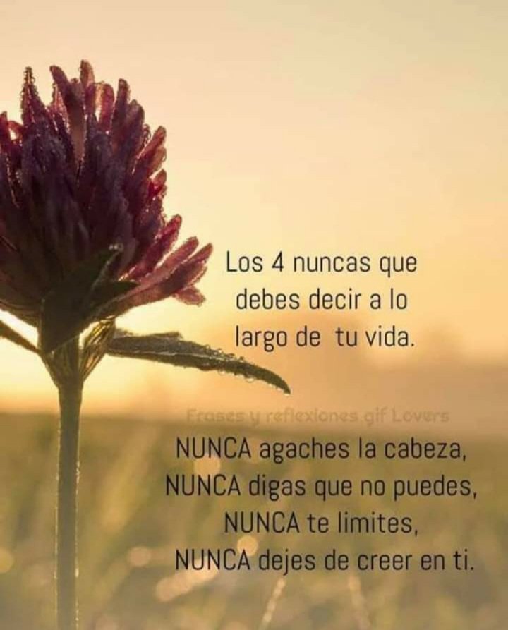 irmacruzs's tweet photo. #Nunca @normistoriz  @Enedinaabundizt https://t.co/NCM8MUxT2m