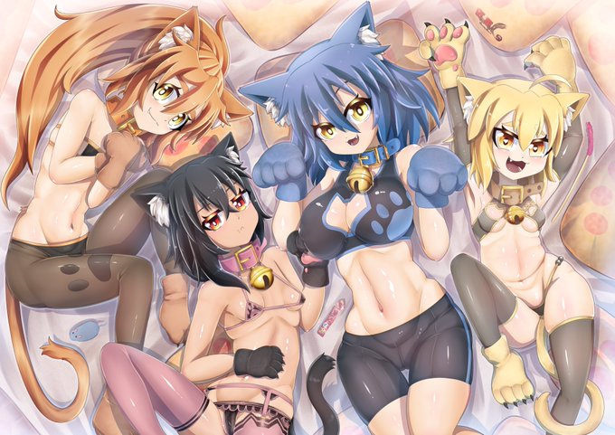 2022/02/22/22:22:22
にゃんにゃん再掲
#猫の日 