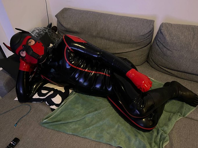 2 pic. Sometimes to be a good boy means to be your bf, cause he is always a good doggo??? #doggo #bf