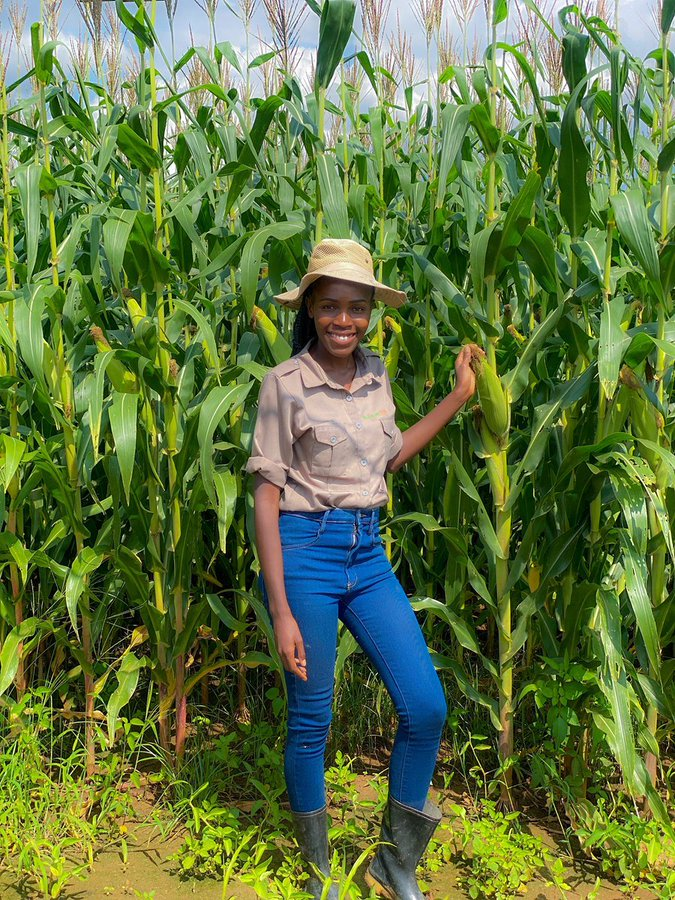 Agrinsiderhq's tweet photo. Empower young women in Agriculture https://t.co/cCn2iHA4ES
