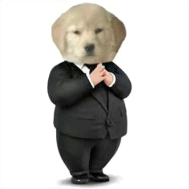 一只小猪罢了 tweet media