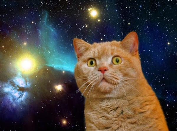 星海るぅ Mmproject 猫の日 にゃんにゃんにゃんの日 スーパー猫の日 宇宙猫 T Co B4duvkukro Twitter 星海るぅ Mmproject 猫の日 にゃんにゃんにゃんの日 スーパー猫の日 宇宙猫 T Co B4duvkukro Twitter