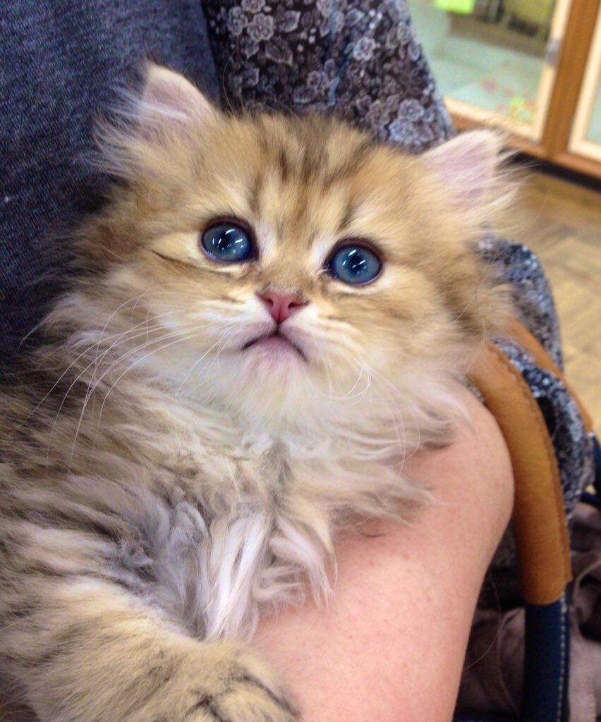 ⚓️tk🐈📦 tweet media