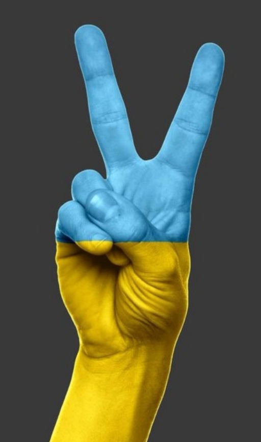 MarekRzasa1's tweet photo. Solidarni z Ukrainą 
#solidarnizukraina 
#SolidarityWithUkraine https://t.co/p7MHBK184I