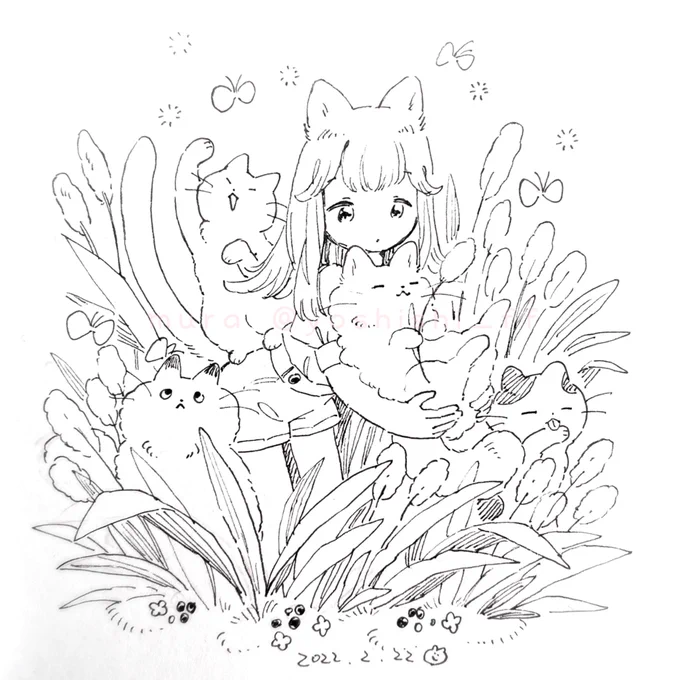 今日の🐈🐈‍⬛🐈 