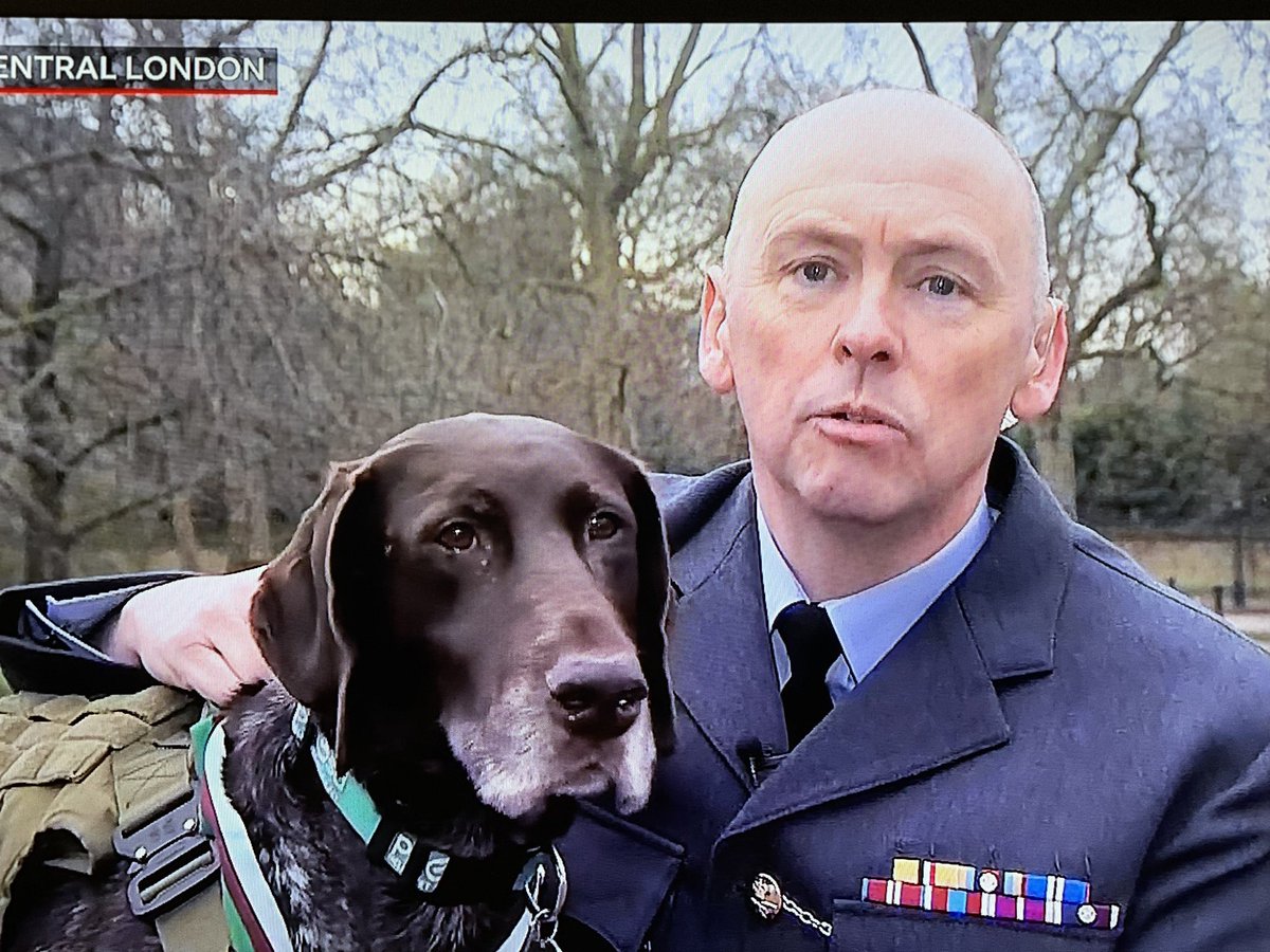 Purple Poppy UK 🇬🇧 tweet media