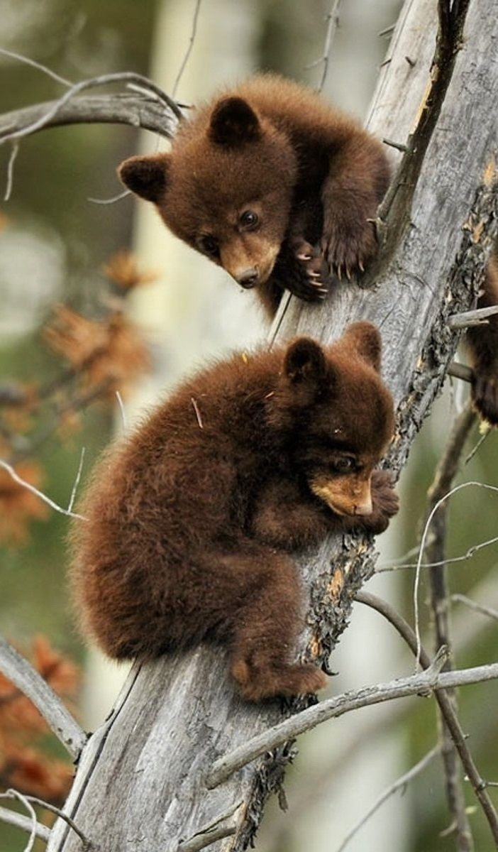 Worldpics (@worldpics69) on Twitter photo 