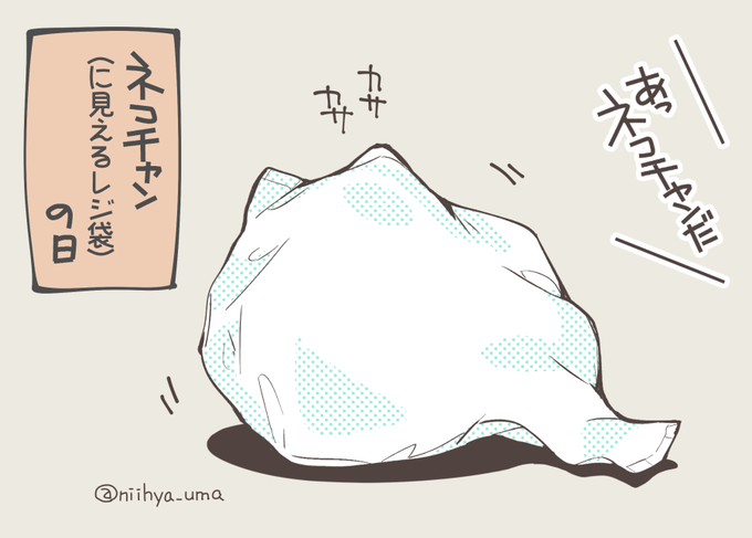 ネコチャンに見えるレジ袋もそろそろネコ科に入れてほしい #猫の日 