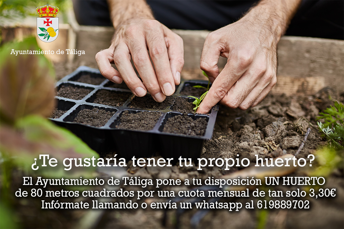 Ayuntamiento de Táliga tweet media