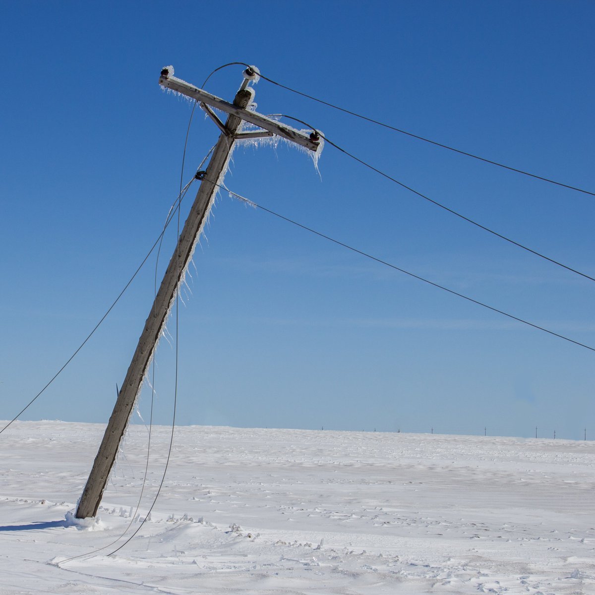 Ethän koske tykkylummen painamiin sähköjohtoihin ⛔️

Alhaalla roikkuviin sähköjohtoihin tai sähköjohtoja painaviin puihin ei saa missään nimessä koskea. Vaurioituneissa sähköverkoissa saattaa esiintyä niin sanottu nollavika, joka voi aiheuttaa hengenvaaran.

#turvallisuus #talvi