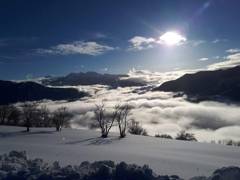 Lechaletdoucy's tweet photo. Misty in the village, but its a first lifts bluebird pow kind of day above the clouds in resort #inversion #valmorel #doucy #ski https://t.co/GwXrNsdZ09