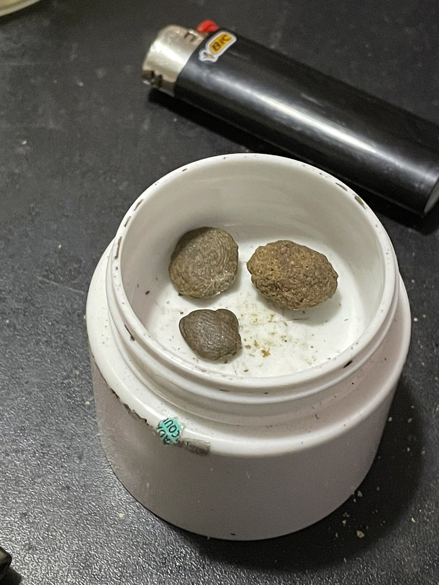 OutsideSesh's tweet photo. First attempt at hand pressed hash https://t.co/MnEQpKE29A