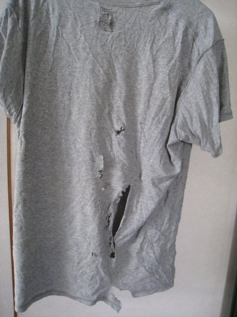 麗爺 今日もまたネズミ被害が確認できた いつやられたのか分からないが去年の夏以降なのは間違いない T Co Z16gkl5kpm Twitter