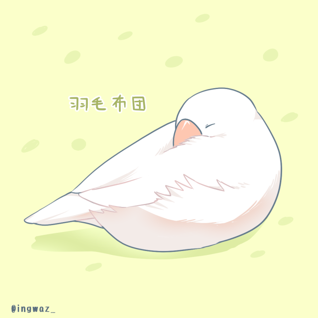 「文鳥」のTwitter画像/イラスト(新着))