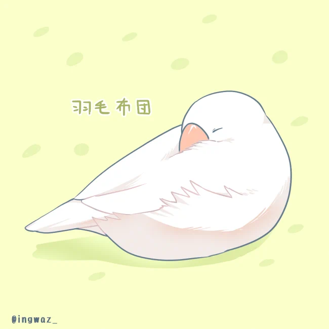 #Buncho #javasparrow #文鳥 
