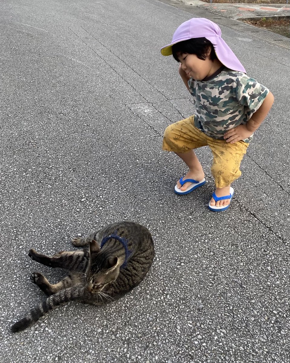 masako101670's tweet photo. 😸ネコちゃんと遊んびたいのに振り返って
もらえません😹 https://t.co/KljWYHJlrg