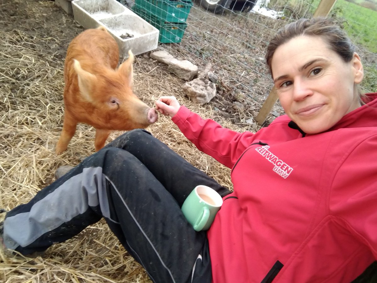 When you're scrollin' ya pics coz everyone on twitter thinks ya a lad and this is the best you got that doesn't show ya kids 😂 wedding tonight, ill try get a glam snap 🙈 #hex #tamsworth