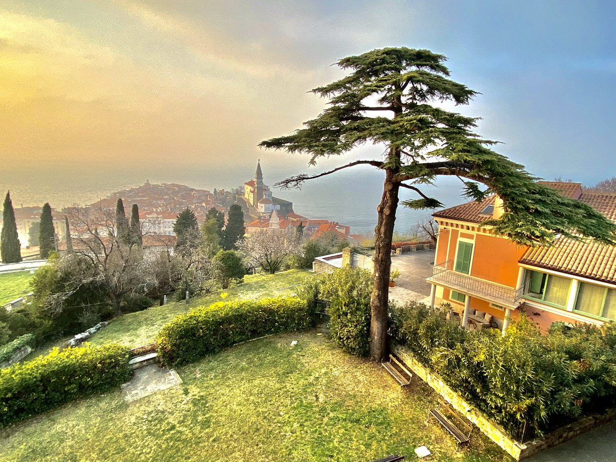 ChristosHamawi's tweet photo. #Piran #Istria #Slovenia ©️2022 https://t.co/OkuvdGQkbY https://t.co/P8vM0mtp4s