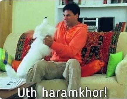 EshaSha96532716's tweet photo. Me to my portfolio:
 
#StockMarketindia #Nifty #RussiaUcraina #RussiaUkraineCrisis https://t.co/eKQyBX728X