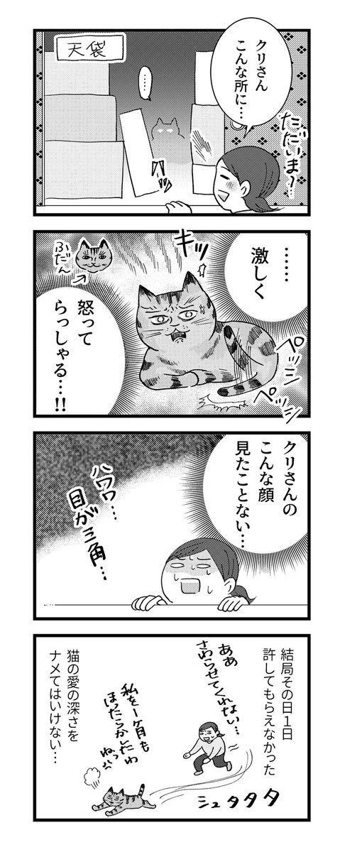 【猫のクリと情の話】(1/2)
(再掲)猫の愛は深くて熱い…
#にゃんにゃんにゃんの日   #ねこの日 