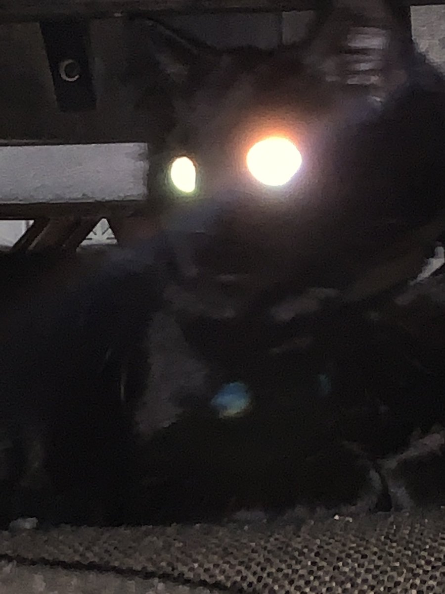 satansunderdog's tweet photo. @thaliasaki happy twosday https://t.co/T5m9c7gqau