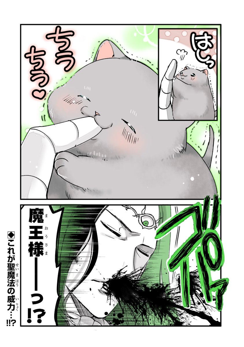 #猫の日  #スーパー猫の日 