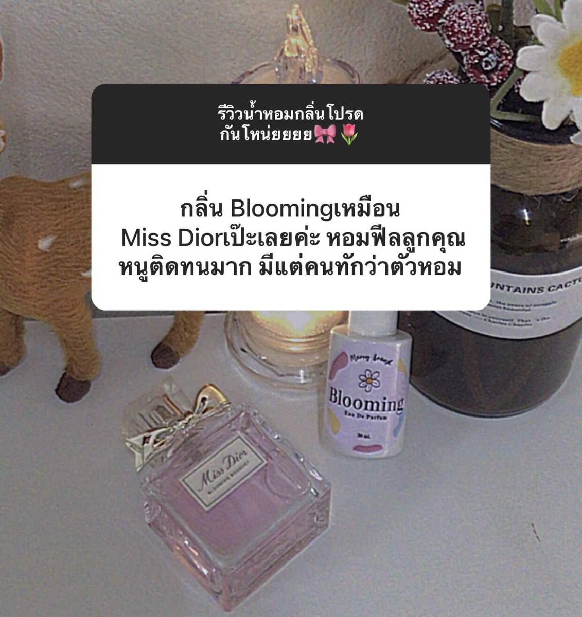 Yammy🦋 tweet media