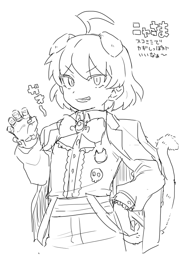 過去ネコチャン 