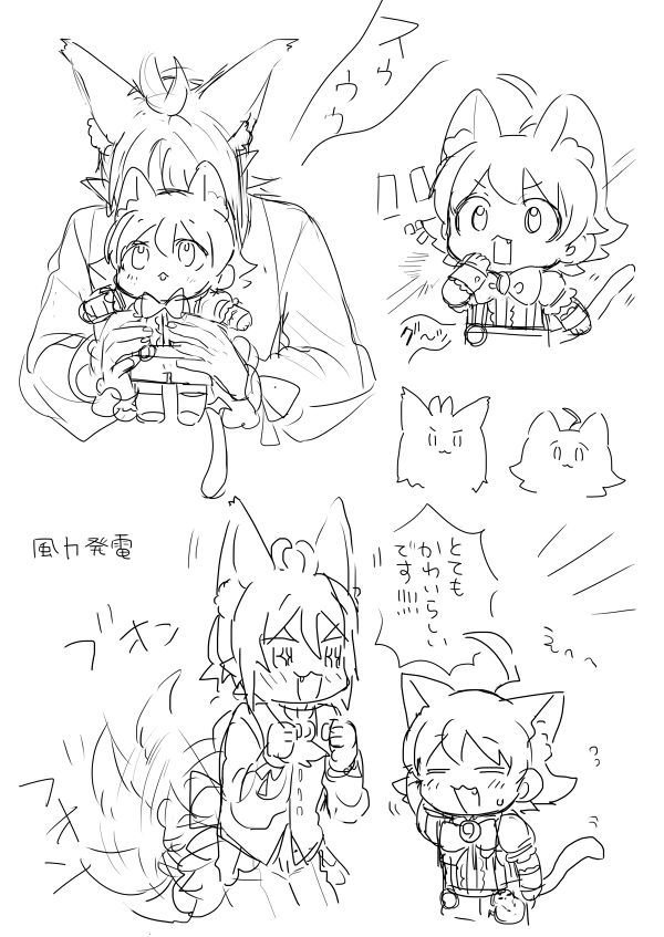過去ネコチャン 