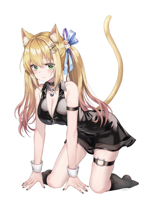 #猫の日 🐱🐾 